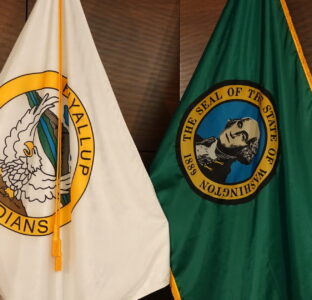 set of flags in the Council Chambers