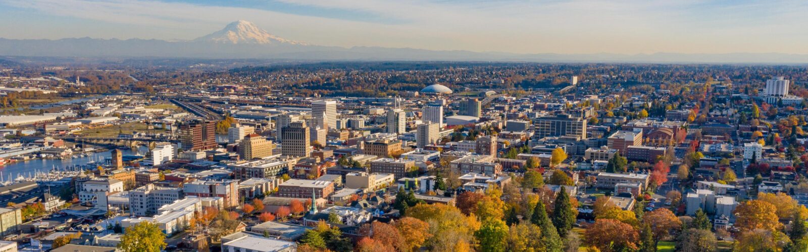 Tacoma fall trees