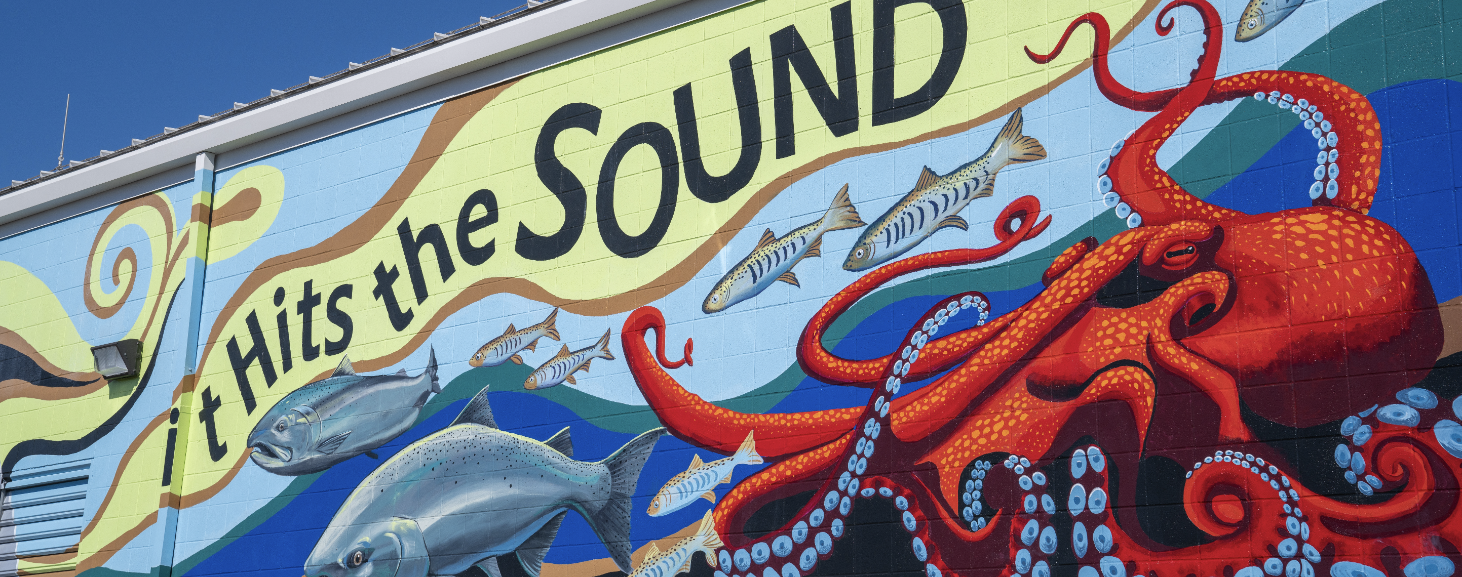 Порно мультфильм The Looney Tunes шоуы