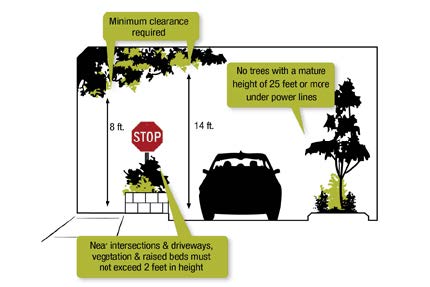 Tree clearance standards