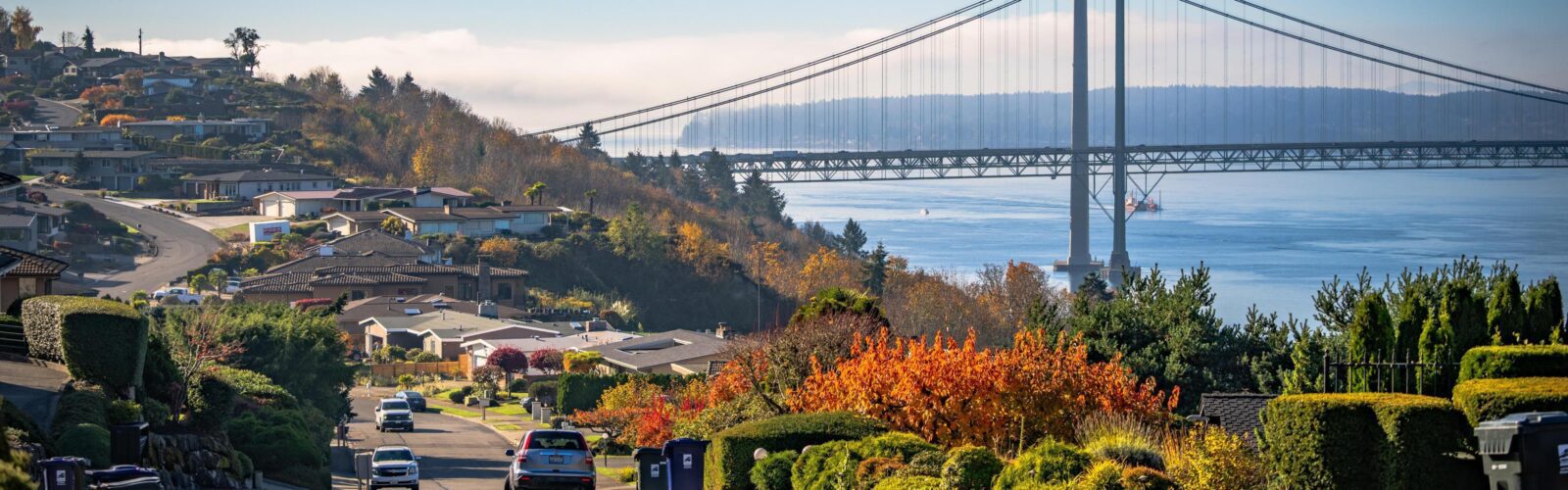 Photo of Narrows Bridge