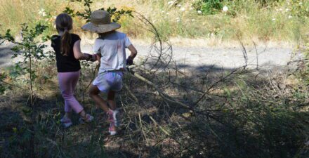 Two young children move away from the camera while they clear a woody branch out of the way during a volunteer event.