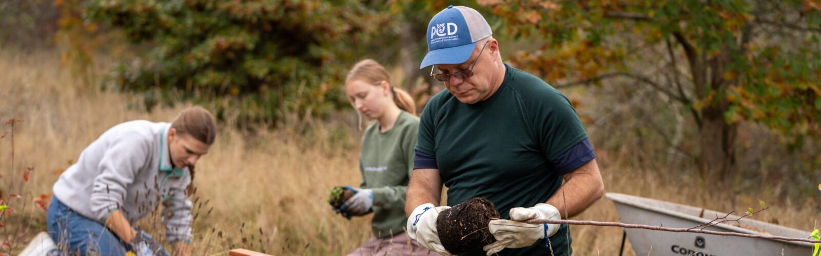 Three volunteers are kneeling on the ground while they do restoration work. A gentleman in the front of the image is preparing a plant to go into the ground. A wheelbarrow and a bucket are also pictured.