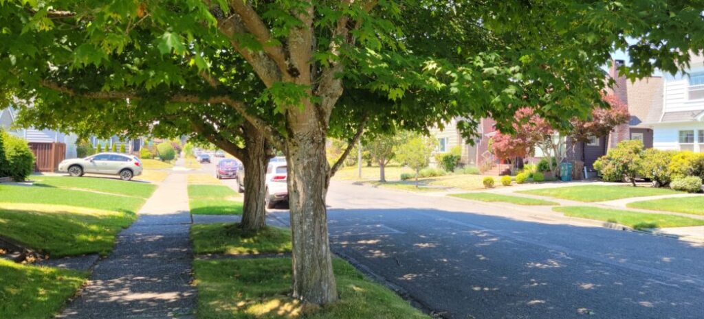 Trees