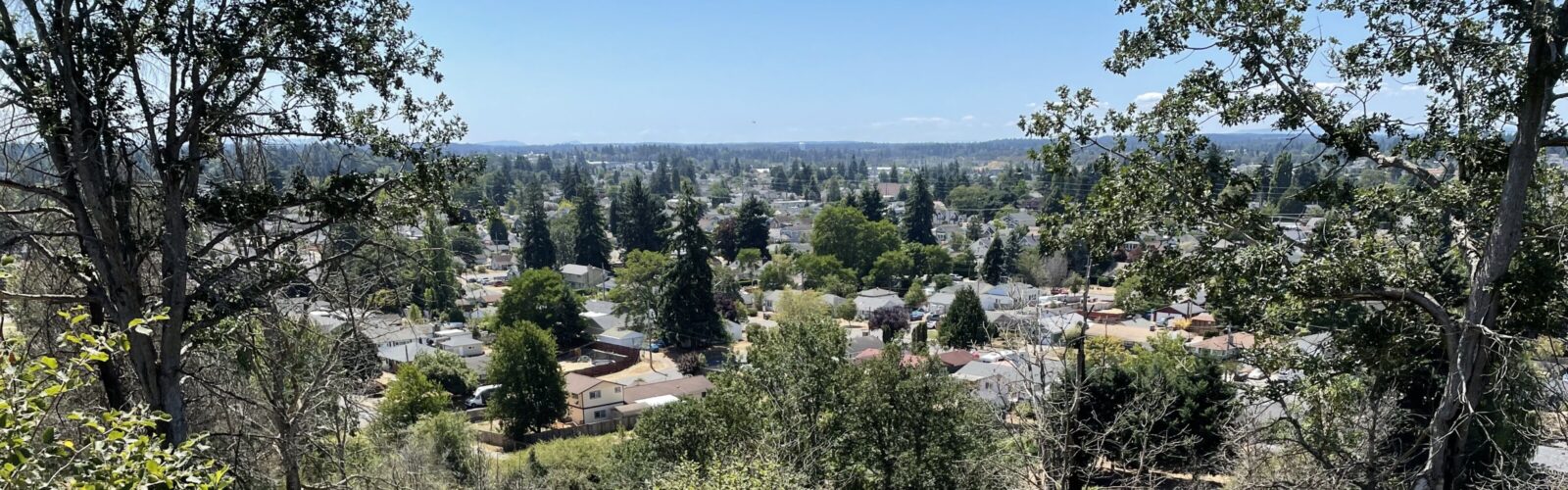 Panoramic view of the South Tacoma Neighborhood framed by trees